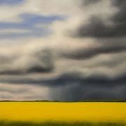 Canola Dynamics
