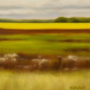 Saskatchewan Meadow Square