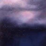 Tall Canola Sky Section 2