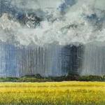Canola Rain
