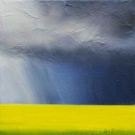 Canola Storm Miniature