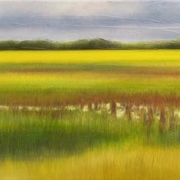 Saskatchewan Contemplation