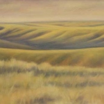 Soft Evening Light