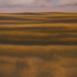 Sunset Grass Square