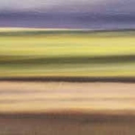Saskatchewan Fields