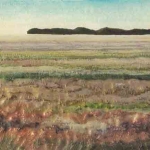 Windbreak