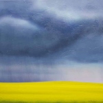 Canola Rain Square