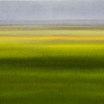 Rainy Fields