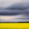 Canola Sky