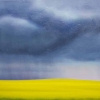 Canola Rain Square