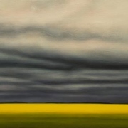 Canola Stillness