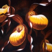 Large Yellow Ladyslippers