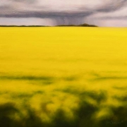 Canola Power (Solar Plexus Chakra)