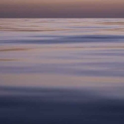 Morning Meditation