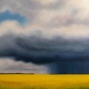 Canola Storm Passing