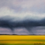 Canola Rain Veil