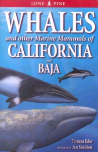 books-whalesofcaliforniaandbaja1